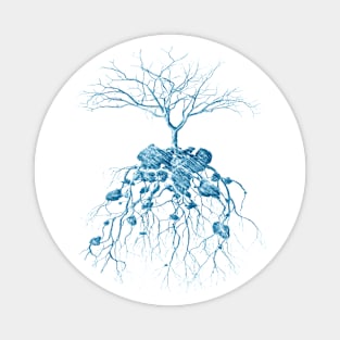 Tree of Life Magnet